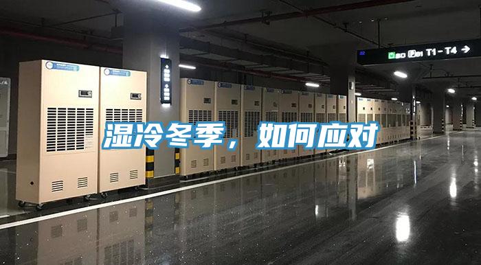 湿冷冬季，如何应对