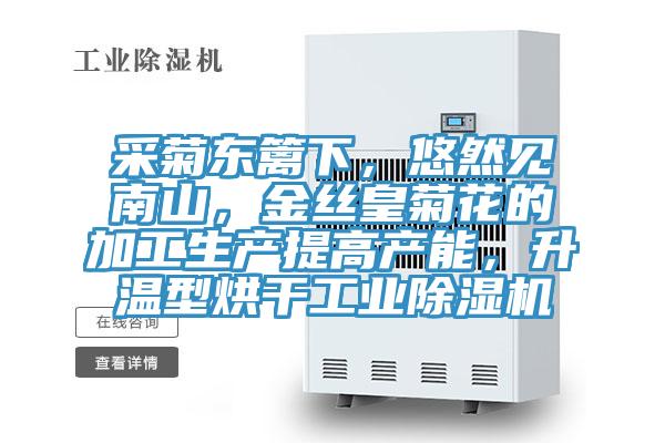 采菊东篱下，悠然见南山，金丝皇菊花的加工生产提高产能，升温型烘干工业粉色应用黄色软件