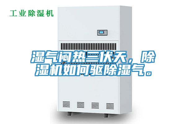 湿气闷热三伏天，粉色应用黄色软件如何驱除湿气。