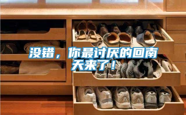 没错，你最讨厌的回南天来了！