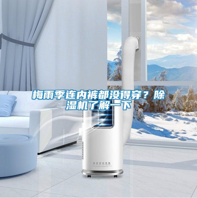 梅雨季连内裤都没得穿？粉色应用黄色软件了解一下