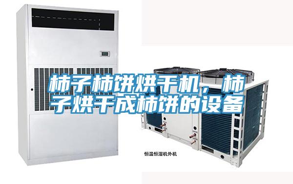 柿子柿饼烘干机，柿子烘干成柿饼的设备