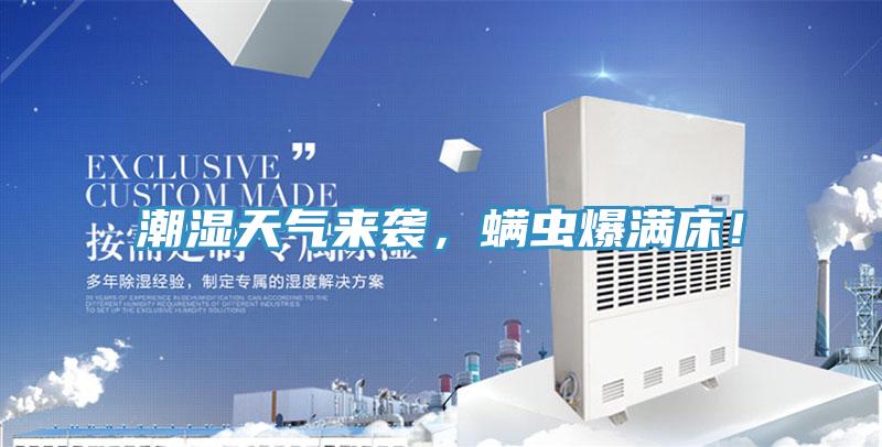 潮湿天气来袭，螨虫爆满床！