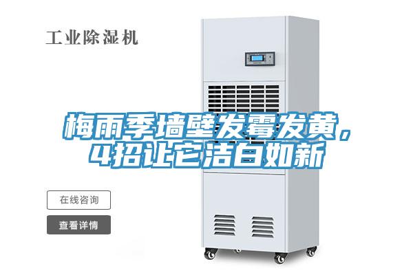 梅雨季墙壁发霉发黄，4招让它洁白如新