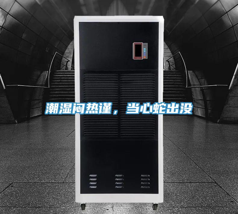 潮湿闷热谨，当心蛇出没