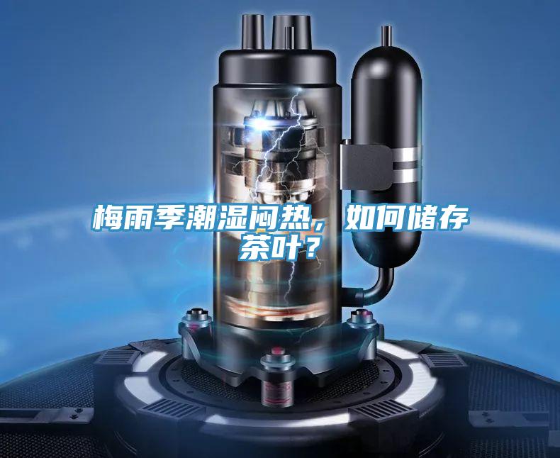 梅雨季潮湿闷热，如何储存茶叶？