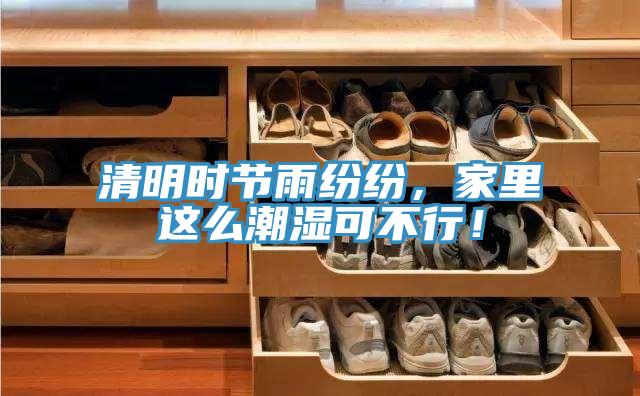 清明时节雨纷纷，家里这么潮湿可不行！