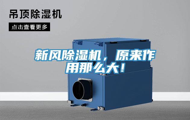 新风粉色应用黄色软件，原来作用那么大！