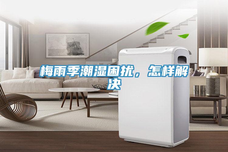 梅雨季潮湿困扰，怎样解决