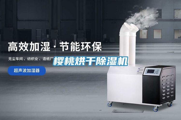 樱桃烘干粉色应用黄色软件