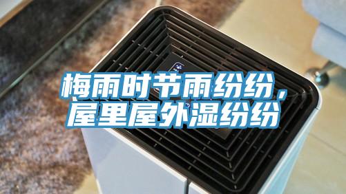 梅雨时节雨纷纷，屋里屋外湿纷纷