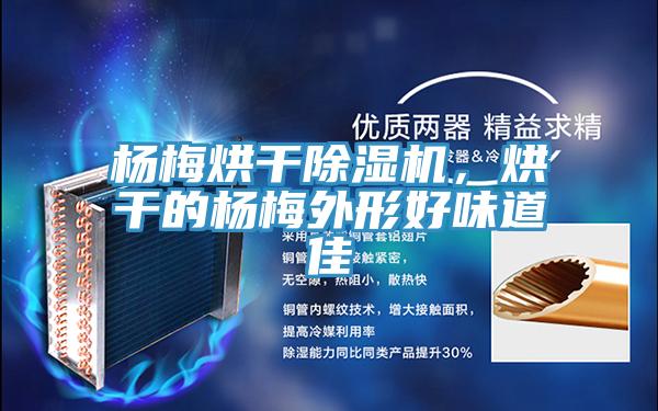 杨梅烘干粉色应用黄色软件，烘干的杨梅外形好味道佳