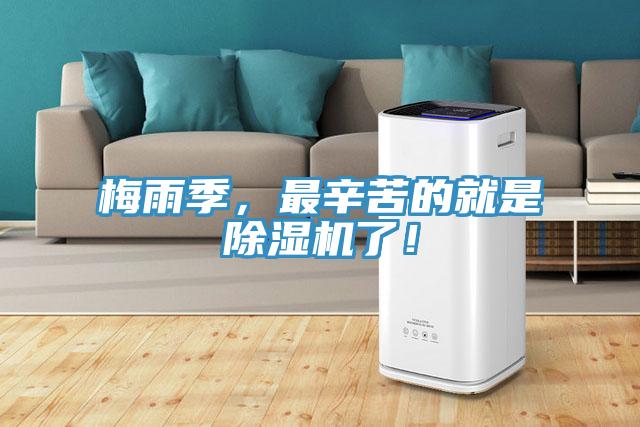 梅雨季，最辛苦的就是粉色应用黄色软件了！