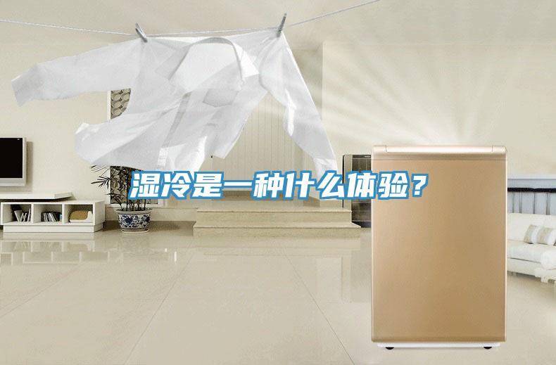 湿冷是一种什么体验？