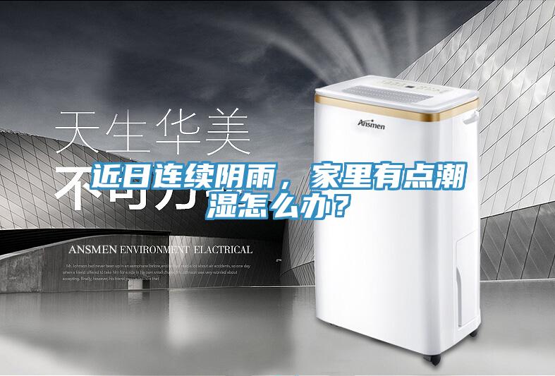 近日连续阴雨，家里有点潮湿怎么办？