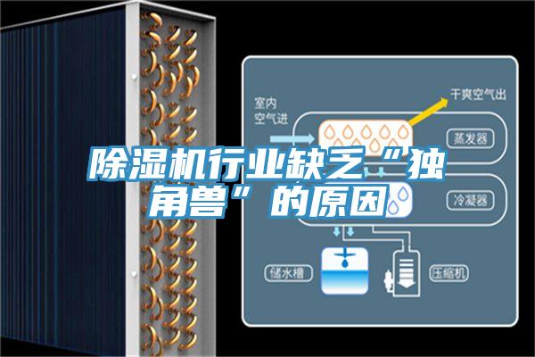 粉色应用黄色软件行业缺乏“独角兽”的原因