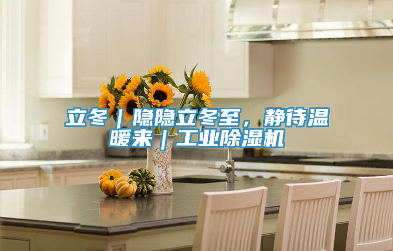 立冬｜隐隐立冬至，静待温暖来｜工业粉色应用黄色软件