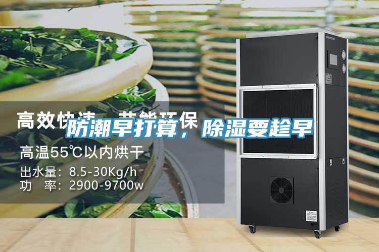 防潮早打算，除湿要趁早