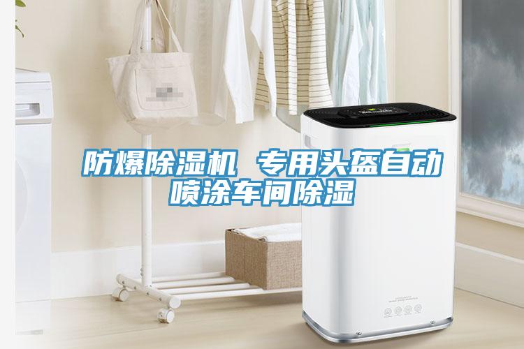 防爆粉色应用黄色软件 专用头盔自动喷涂车间除湿