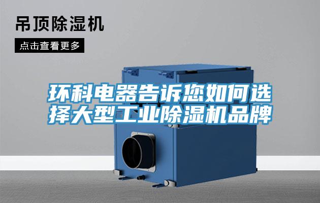 环科电器告诉您如何选择大型工业粉色应用黄色软件品牌