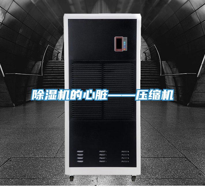 粉色应用黄色软件的心脏——压缩机