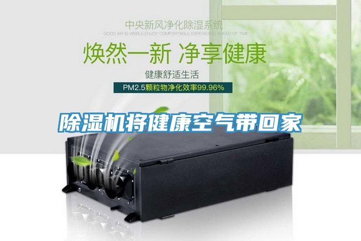 粉色应用黄色软件将健康空气带回家