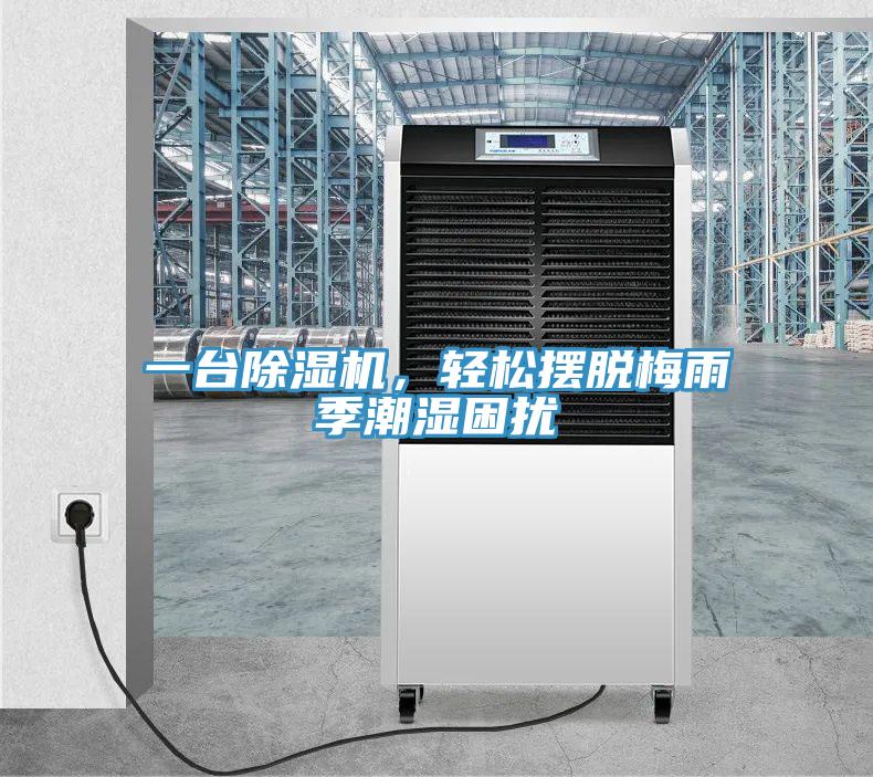 一台粉色应用黄色软件，轻松摆脱梅雨季潮湿困扰