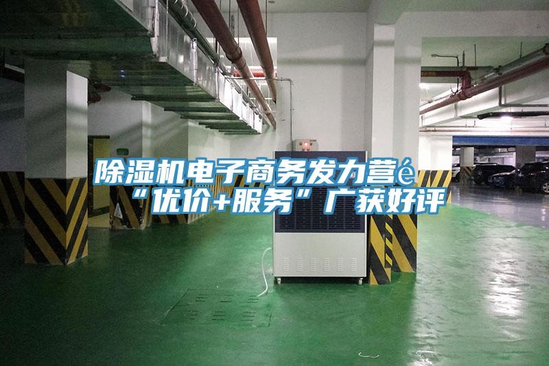 粉色应用黄色软件电子商务发力营销“优价+服务”广获好评