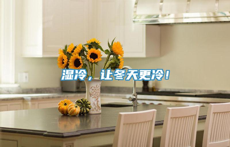 湿冷，让冬天更冷！