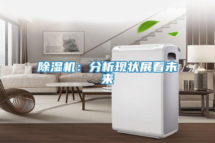 粉色应用黄色软件：分析现状展看未来