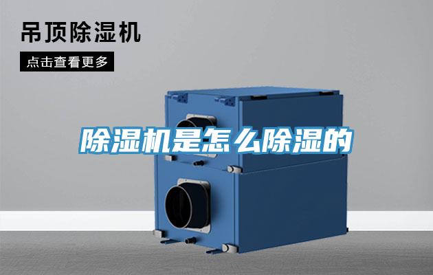 粉色应用黄色软件是怎么除湿的