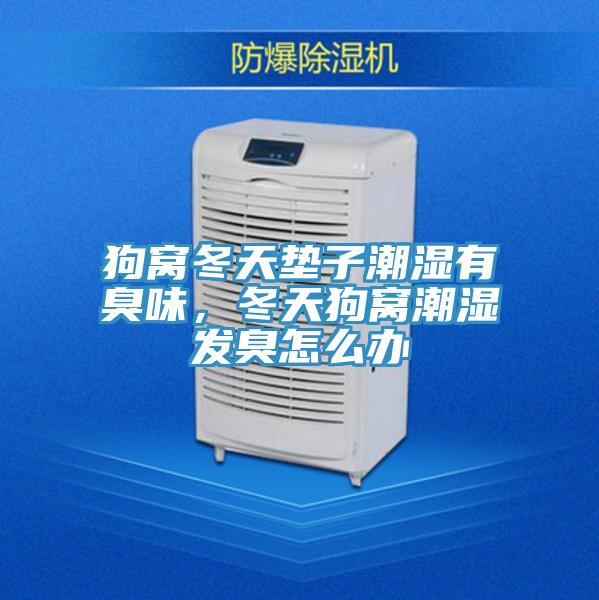 狗窝冬天垫子潮湿有臭味，冬天狗窝潮湿发臭怎么办