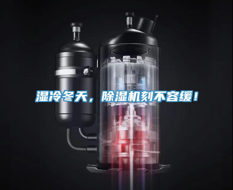 湿冷冬天，粉色应用黄色软件刻不容缓！