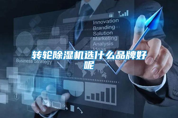 转轮粉色应用黄色软件选什么品牌好呢