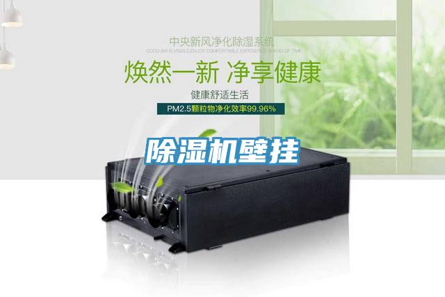 粉色应用黄色软件壁挂