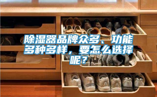 除湿器品牌众多、功能多种多样，要怎么选择呢？