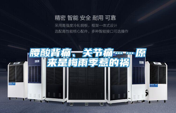 腰酸背痛、关节痛……原来是梅雨季惹的祸