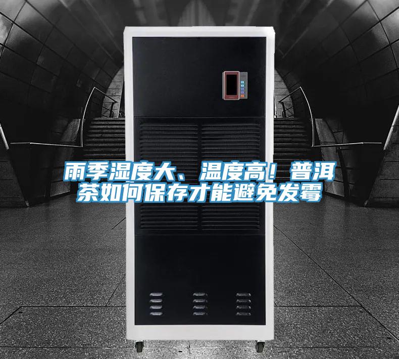 雨季湿度大、温度高！普洱茶如何保存才能避免发霉