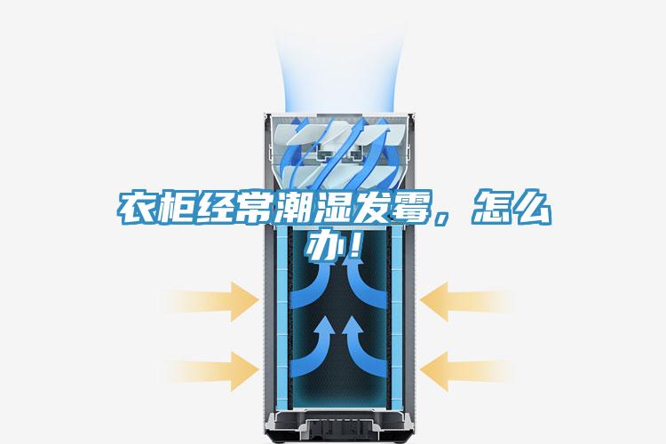 衣柜经常潮湿发霉，怎么办！