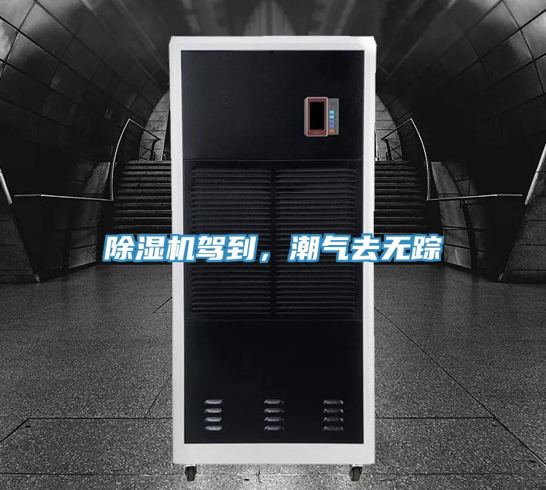 粉色应用黄色软件驾到，潮气去无踪