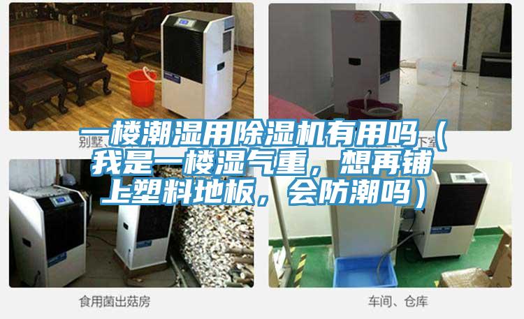 一楼潮湿用粉色应用黄色软件有用吗（我是一楼湿气重，想再铺上塑料地板，会防潮吗）