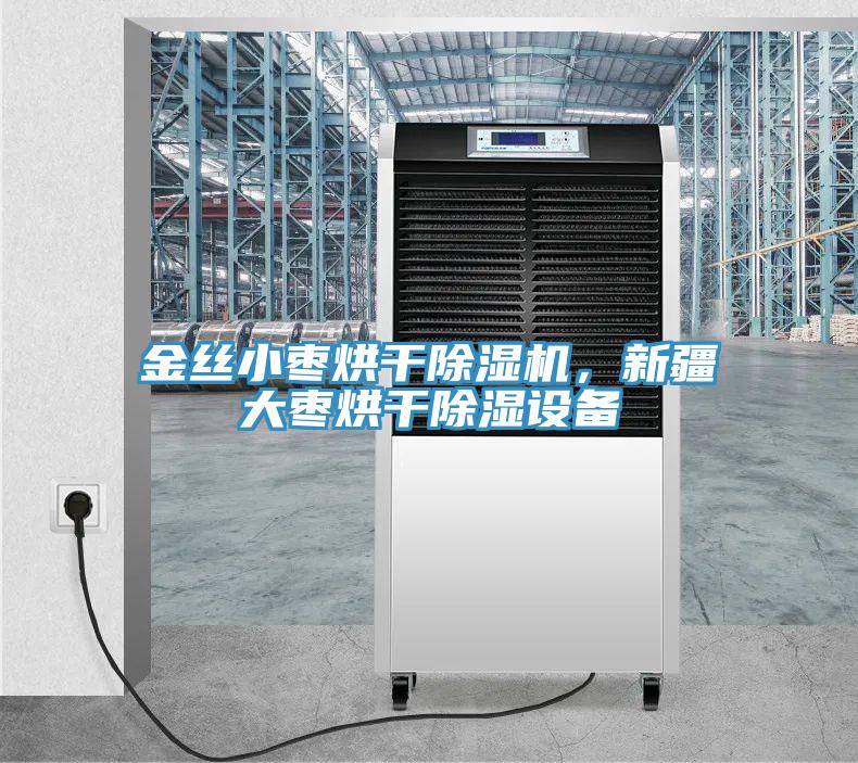 金丝小枣烘干粉色应用黄色软件，新疆大枣烘干除湿设备