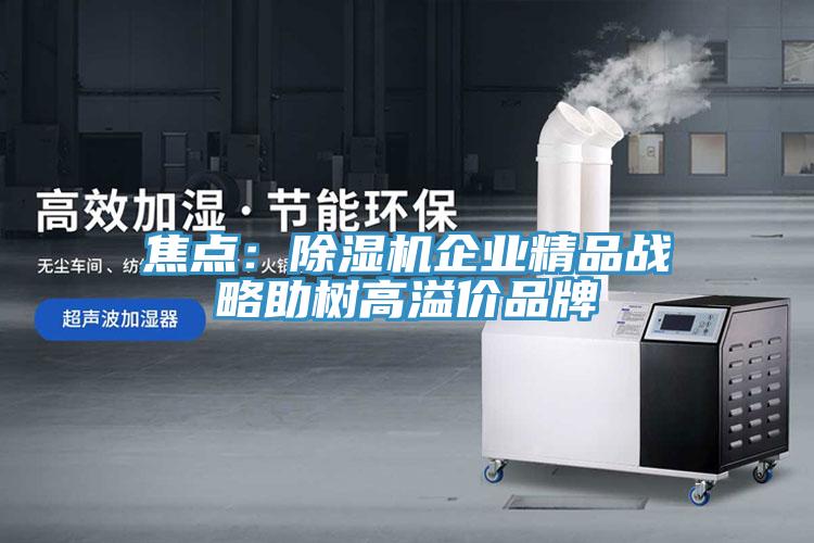 焦点：粉色应用黄色软件企业精品战略助树高溢价品牌