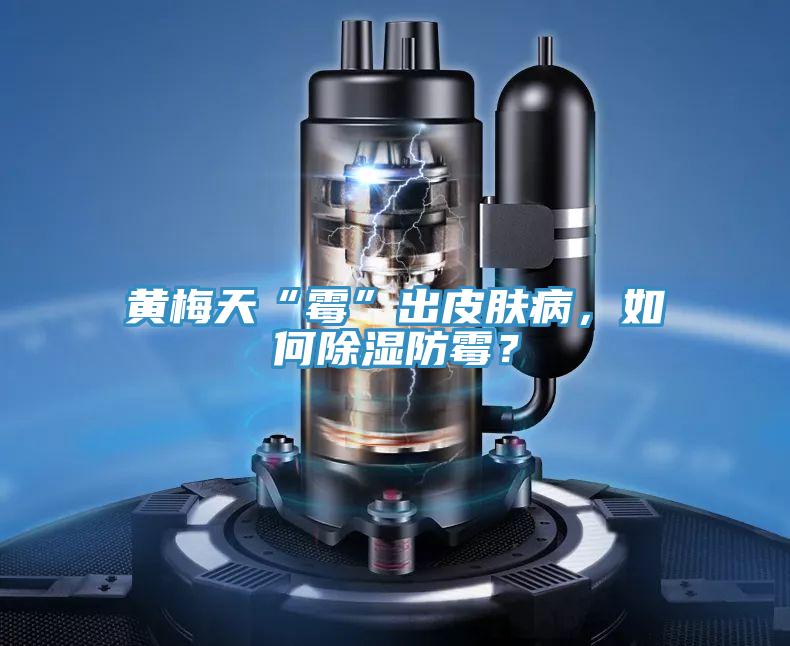 黄梅天“霉”出皮肤病，如何除湿防霉？