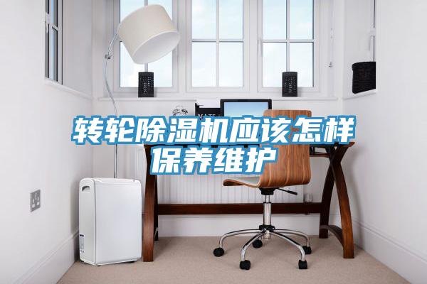 转轮粉色应用黄色软件应该怎样保养维护