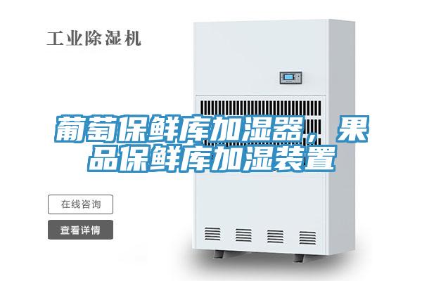 葡萄保鲜库加湿器，果品保鲜库加湿装置