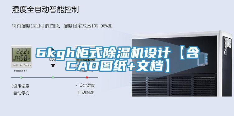 6kgh柜式粉色应用黄色软件设计【含CAD图纸+文档】