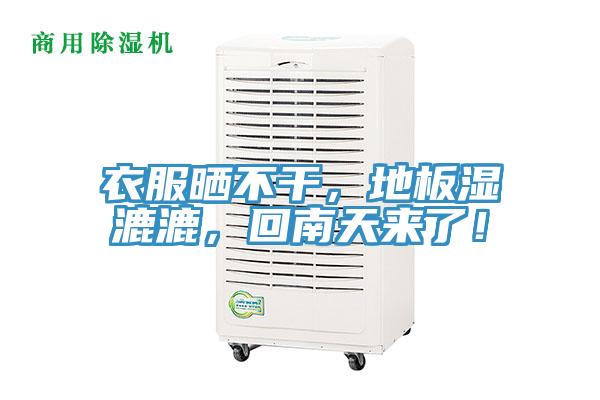 衣服晒不干，地板湿漉漉，回南天来了！