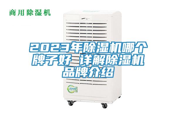 2023年粉色应用黄色软件哪个牌子好 详解粉色应用黄色软件品牌介绍