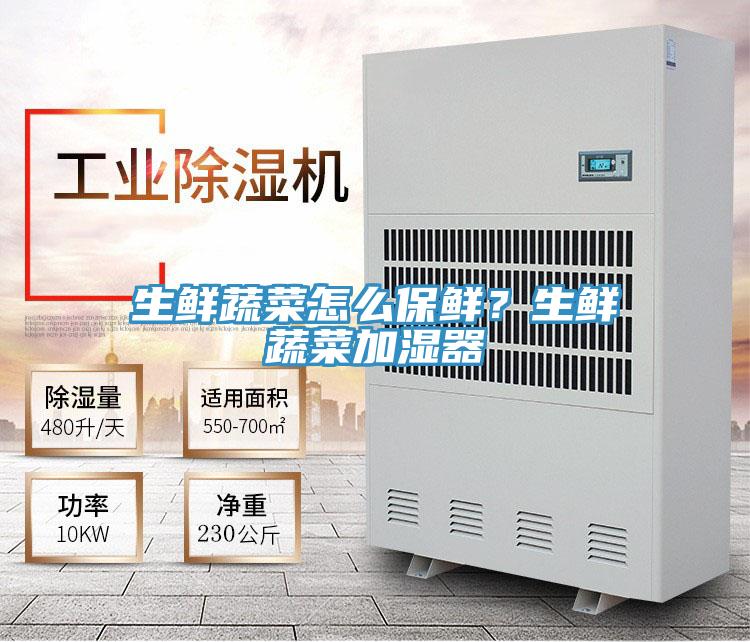 生鲜蔬菜怎么保鲜？生鲜蔬菜加湿器